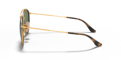 Ray-Ban  -  RB3647N  001 - Altın rengi