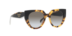 Prada  -  PR 14WS  01M0A7 - Orta koyulukta kaplumbağa kabuğu rengi/siyah