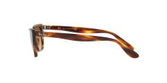 Ray-Ban  -  RB2299 - Lady burbank  954/51 - Çizgili havana