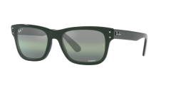 Ray-Ban  -  RB2283 - Mr burbank  6659G4  Polarized - Yeşi̇l