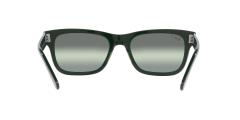 Ray-Ban  -  RB2283 - Mr burbank  6659G4  Polarized - Yeşi̇l