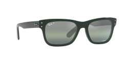 Ray-Ban  -  RB2283 - Mr burbank  6659G4  Polarized - Yeşi̇l