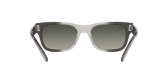 Ray-Ban  -  RB2283 - Mr burbank  134071 - Şeffaf gri