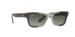 Ray-Ban  -  RB2283 - Mr burbank  134071 - Şeffaf gri