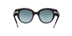 Ray-Ban  -  RB2192 - Roundabout  12943M - Şeffaf üzeri siyah