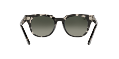 Ray-Ban  -  RB2168 - Meteor  133371 - Gri havana