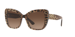 Dolce Gabbana  DG4348  316313 - Siyah üzeri leopar desenli kahverengi