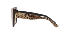 Dolce Gabbana  DG4348  316313 - Siyah üzeri leopar desenli kahverengi