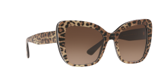 Dolce Gabbana  DG4348  316313 - Siyah üzeri leopar desenli kahverengi