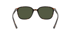 Ray-Ban  RB2193 - Leonard  902/31 - Tosbağa