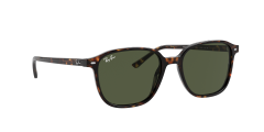 Ray-Ban  RB2193 - Leonard  902/31 - Tosbağa