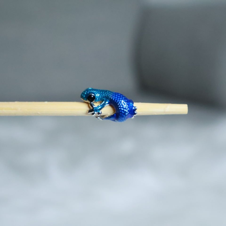Bukalemun Charm