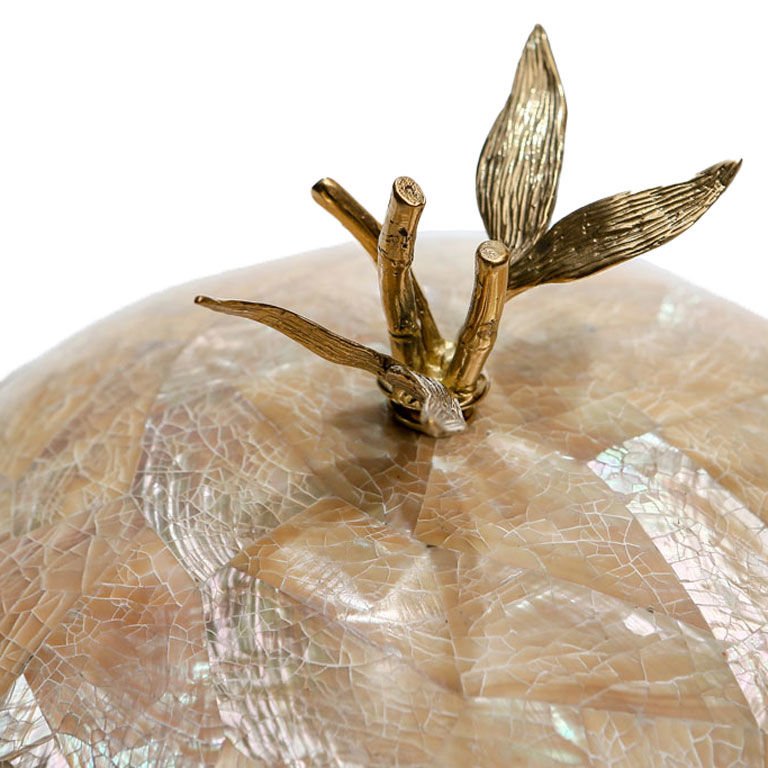 MOTHER-OF-PEARL BRASS BOX