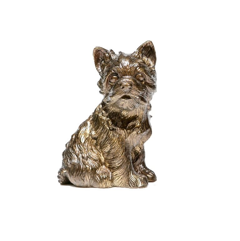 TERRIER DOG