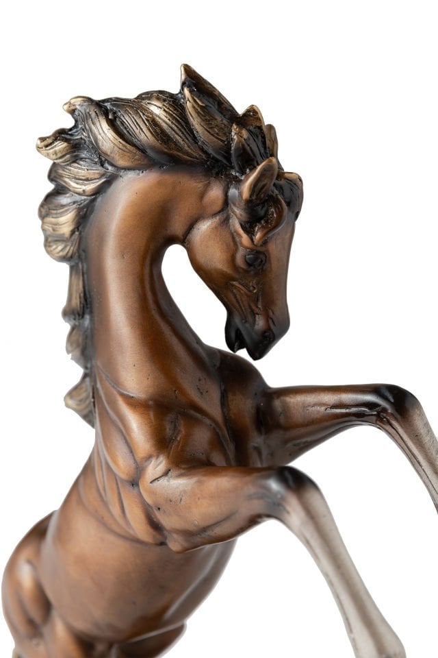 RISING  HORSE