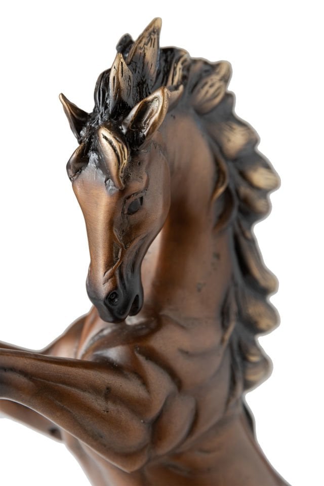 RISING  HORSE