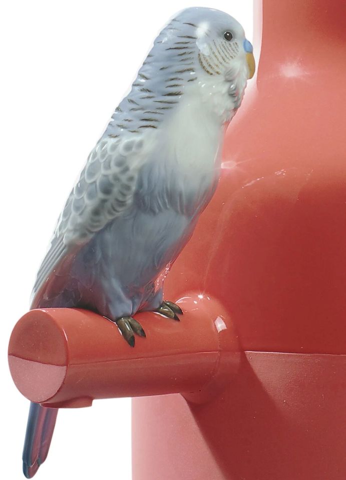 PARROT PARADE VASE CORAL