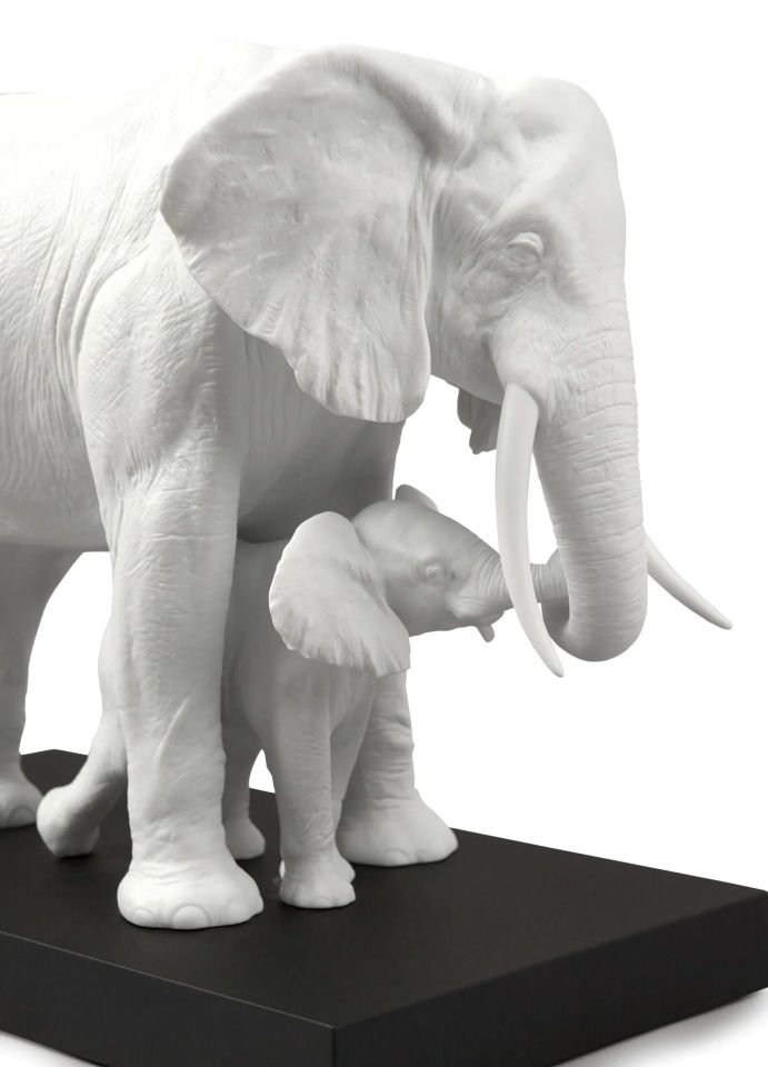 LEADING THE WAY ELEPHANTS