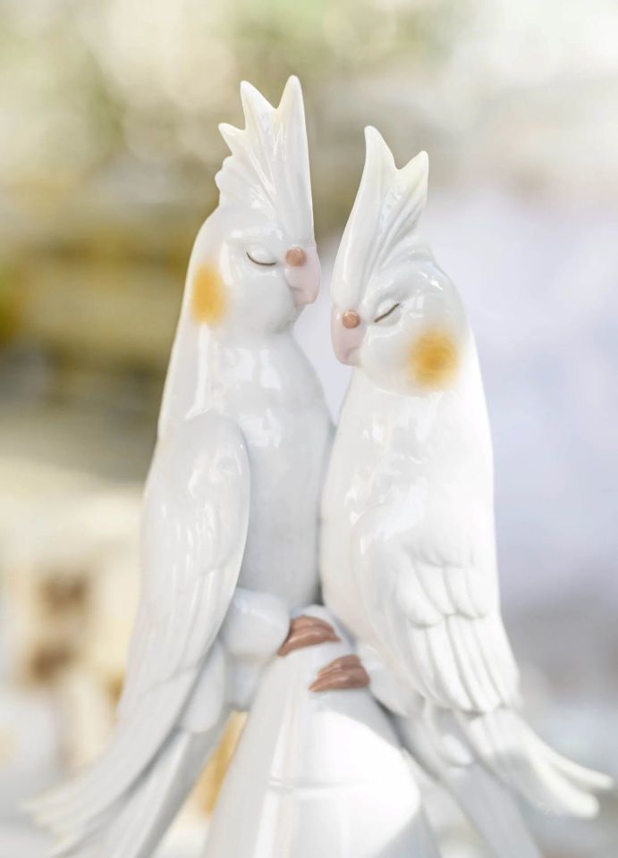 NYMPHS IN LOVE