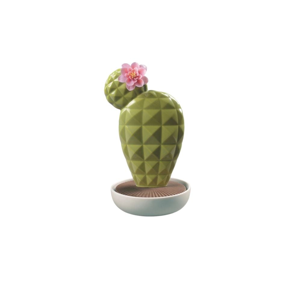 OPUNTIA CACTUS DIFFUSER
