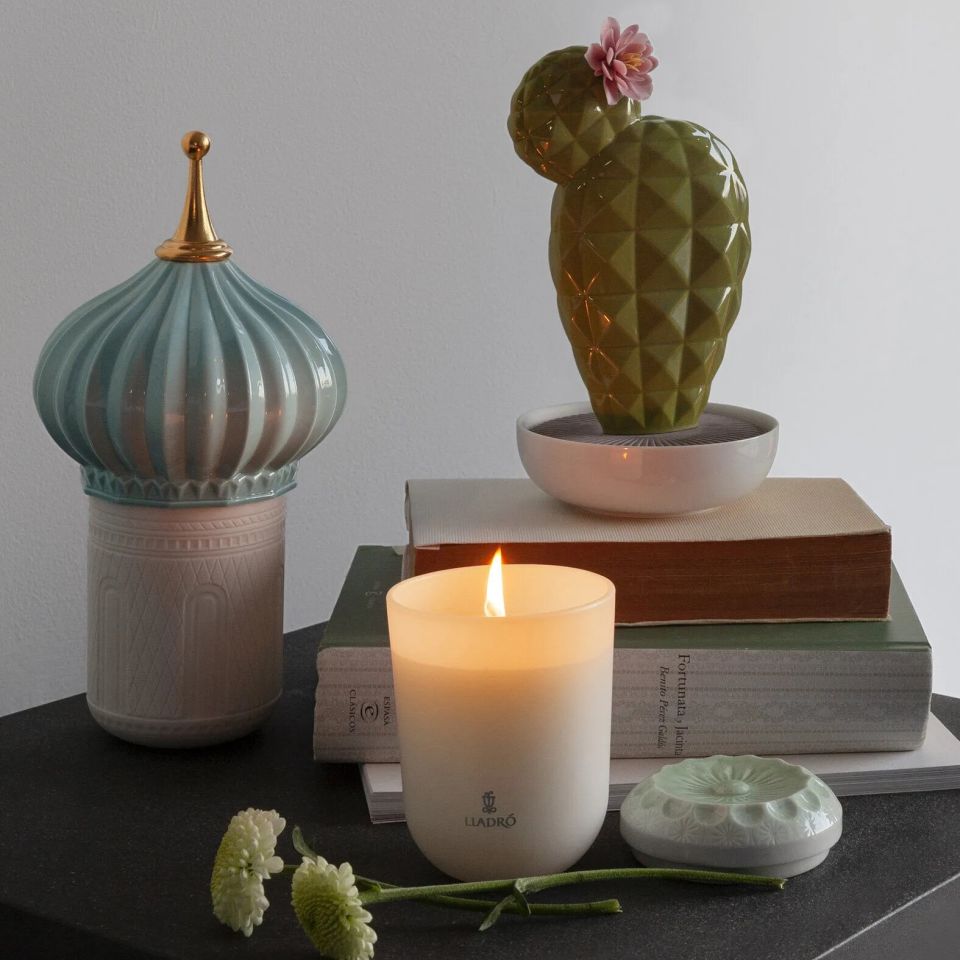 OPUNTIA CACTUS DIFFUSER