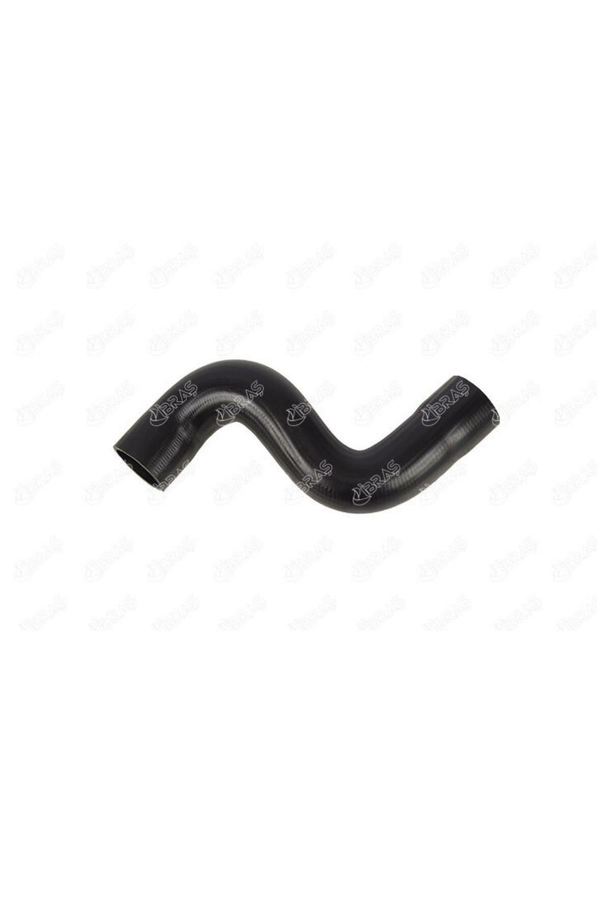 Turbo Hortumu C5 407 (17494-0382GS)