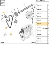 Triger Seti 104 DİŞ 106-206-207-306