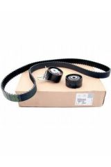 A21 TRİGER SETİ (0831.V4-118431)