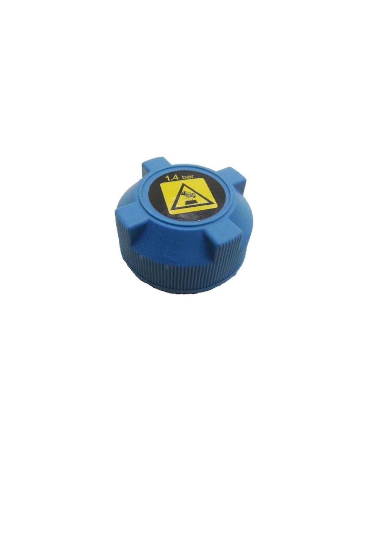 Boxer Jumper 3 Radyatör Yedek Su Depo Kapak (P1306F8)