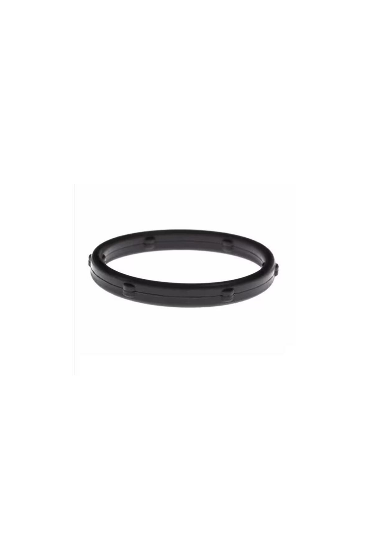 Yağ Pompa Oringi EURO5 DW6 (9805583380)