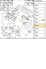 Turbo Hortumu C5 407 1.6HDI (İBR17489-R15451-0382.EG)