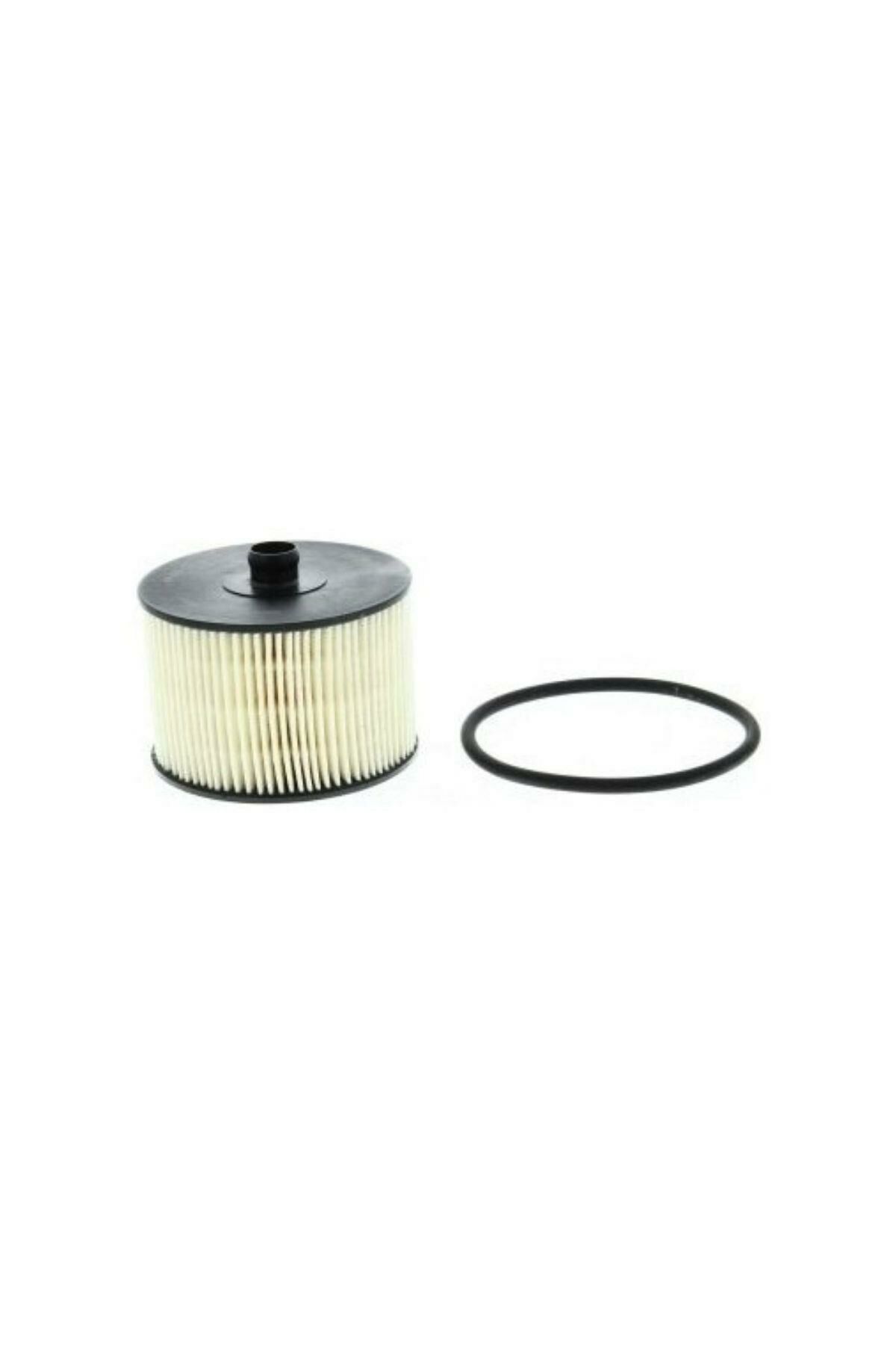 Mazot Filtresi C4 C5 Scudo Focus 307 308 2.0 HDI DW10 (C489-1906C0)
