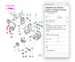 Alternatör Gergi Rulmanı Tek Escort Focus Fiesta Connect 1.6 / 1.8 96  ( FSE 11-101-015 - 95WF 19A216 AD )