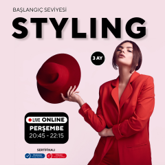Styling -Baslangıç seviyesi
