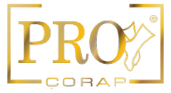 Pro Çorap