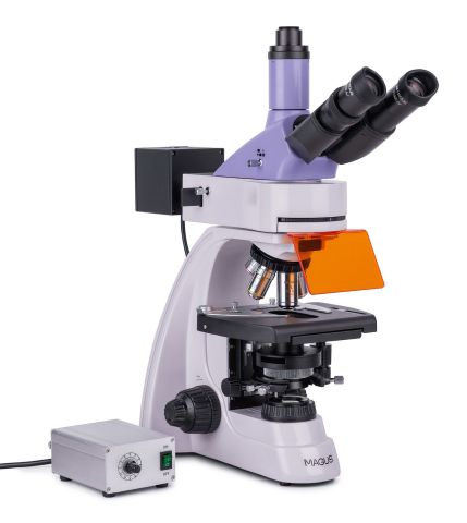 MAGUS Lum 400L Floresan Mikroskop