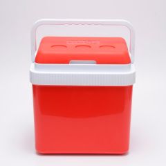 Icepeak SF26 Taşıma Çantası Buzluk 26 Litre