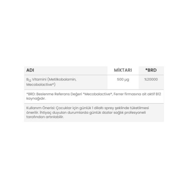 Orzax Ocean Methyl Cobalamin B12 Dil Altı Sprey 5 ml