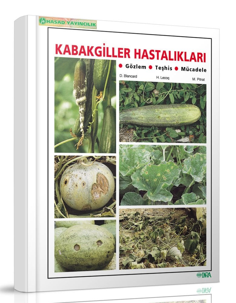 Kabakgiller Hastalıkları