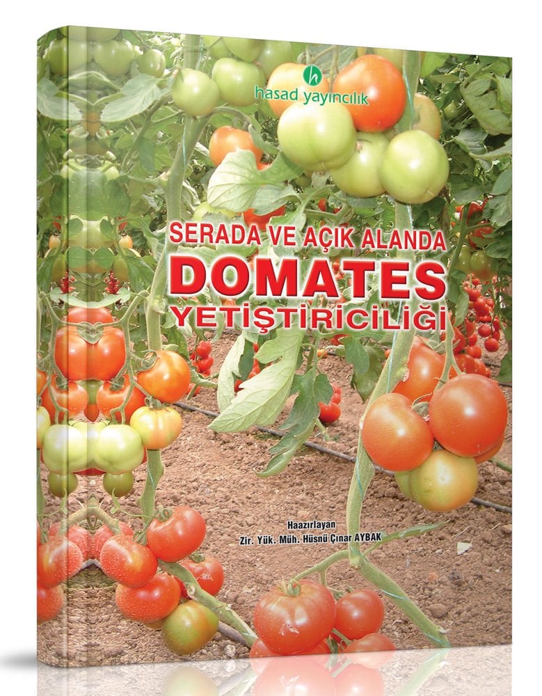 Domates Yetiştiriciliği