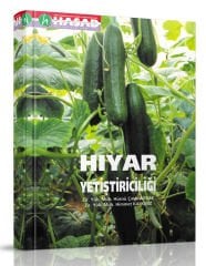 Hıyar Yetiştiriciliği