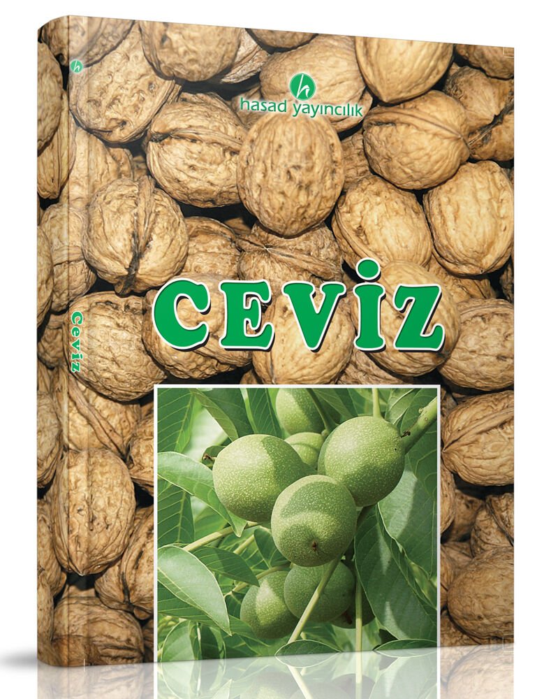 Ceviz