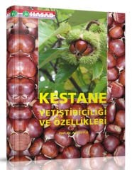 Kestane Yetiştiriciliği Ve Özellikleri
