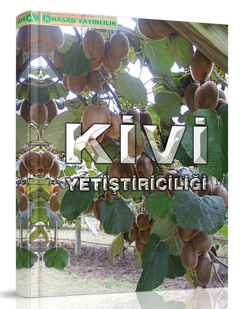 Kivi Yetiştiriciliği
