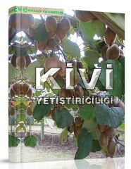 Kivi Yetiştiriciliği