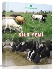 Silo Yemi