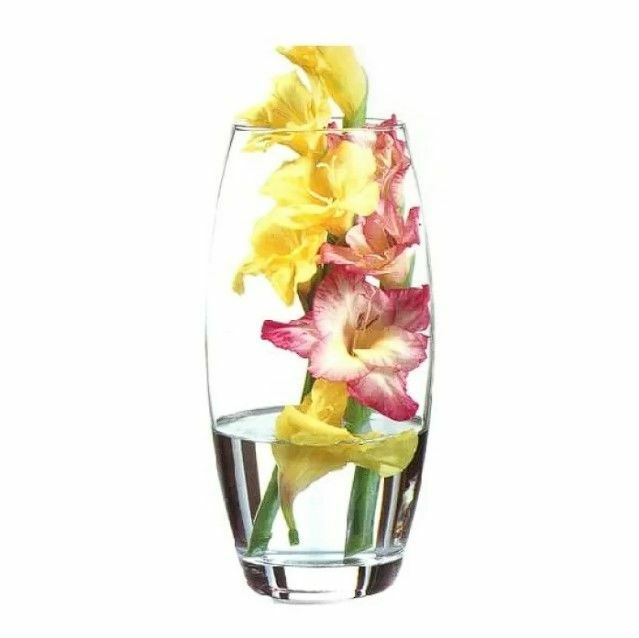 Paşabahçe Botanica Cam Vazo