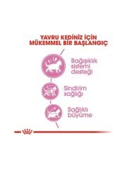 Royal Canin Kitten Yavru Kedi Maması 10 Kg 252210000