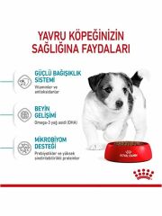 Royal Canin Mini Puppy Yavru Kuru Köpek Maması 2 Kg 300002000