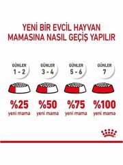 Royal Canin Mini Puppy Yavru Kuru Köpek Maması 2 Kg 300002000